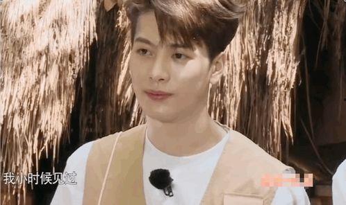 王嘉尔再度爆料视频大全,再度爆料视频大全背后的故事 第3张 王嘉尔再度爆料视频大全,再度爆料视频大全背后的故事 第3张